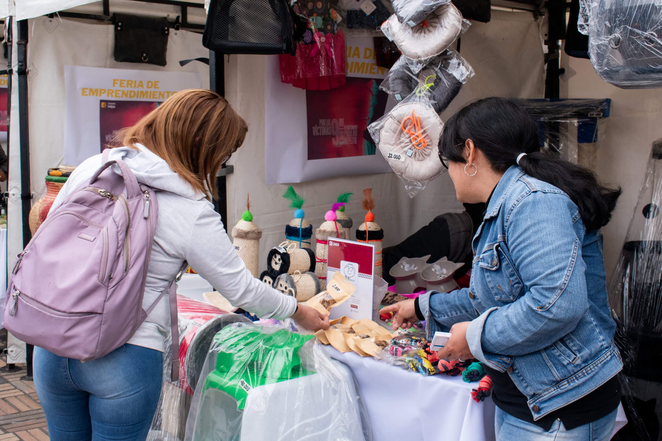 Fotografía 2 de la historia: Resiliencia ante los cambios de la vida: Aracelis y su emprendimiento para mascotas